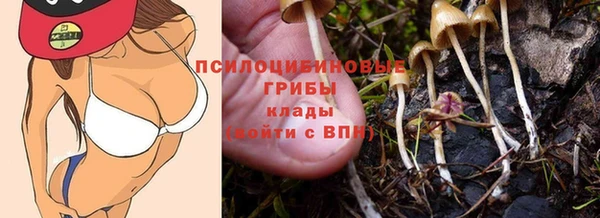 ALPHA PVP Вязники